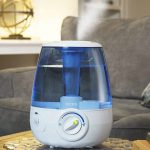 Highlights to acknowledge in a humidifier