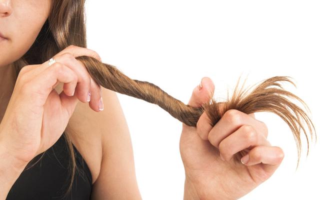 How Can You Healthily Grow Your Hair?