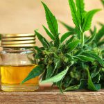 Great Benefits that CBD Oil can Provide