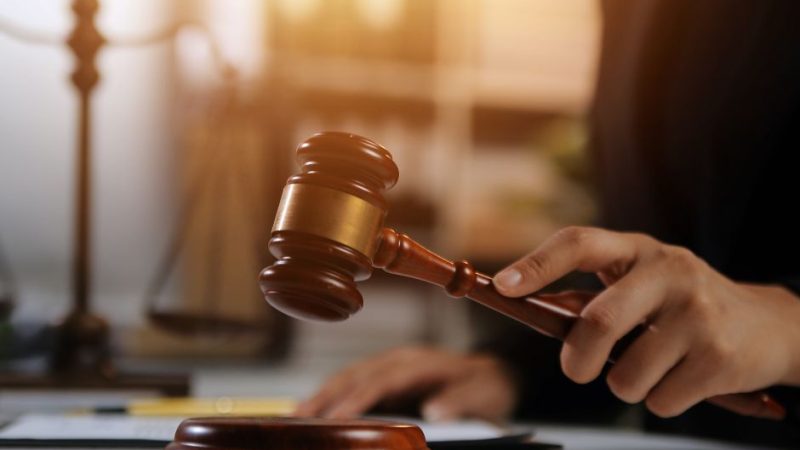 Which Backlinks Actually Help an Immigration Firm’s Visibility